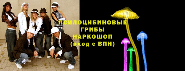 молекула духа Богородск