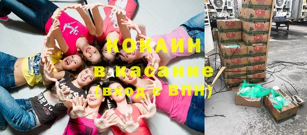 молекула духа Богородск