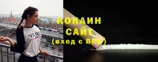 соль ск Богородицк