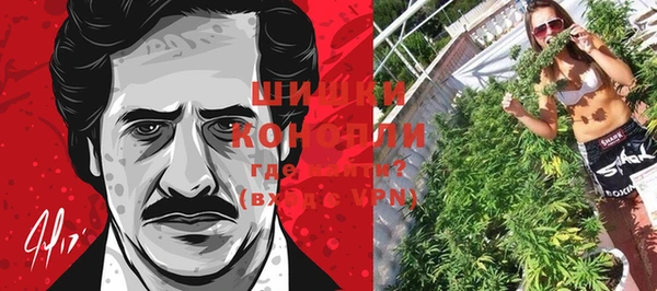 молекула духа Богородск