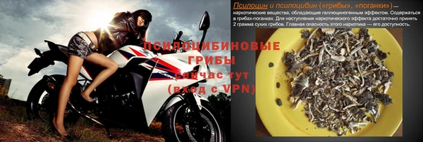 стаф Белокуриха