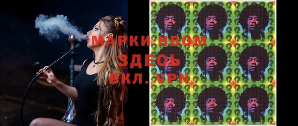 молекула духа Богородск